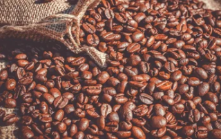 Prima edizione del Milano Coffee Festival, viaggio nel mondo del caffè 5 Milano Coffee Festival caffè