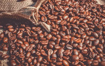 Prima edizione del Milano Coffee Festival, viaggio nel mondo del caffè 6 Milano Coffee Festival caffè