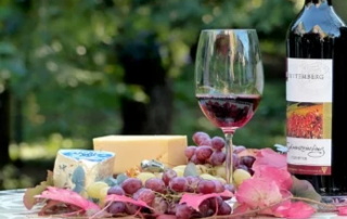 Vino e formaggi, ecco i migliori abbinamenti 4 vino e formaggio abbinamento