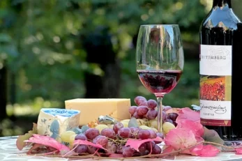 Vino e formaggi, ecco i migliori abbinamenti 1 vino e formaggio abbinamento