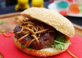 Cosa mangeremo tra 10 anni? Hamburger di larve e vermi? 4 Cosa mangeremo tra 10 anni? Hamburger di larve e vermi?