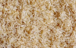 Firmato il decreto che sblocca l’avvio del sistema di tracciabilità del riso biologico 9 riso biologico