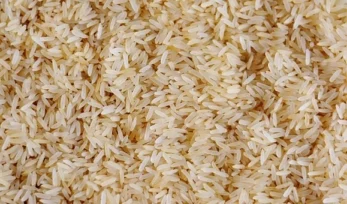 Firmato il decreto che sblocca l’avvio del sistema di tracciabilità del riso biologico 9 riso biologico