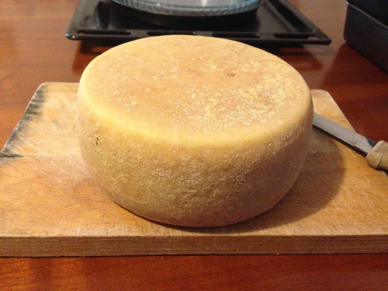 Un team italo-egiziano ha scoperto il formaggio più antico al mondo 3