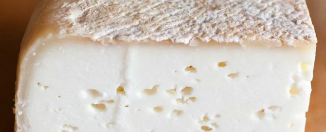 Un team italo-egiziano ha scoperto il formaggio più antico al mondo 9 Un team italo-egiziano ha scoperto il formaggio più antico al mondo