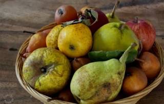 In Europa si scartano 50 milioni di tonnellate di frutta e verdura all'anno