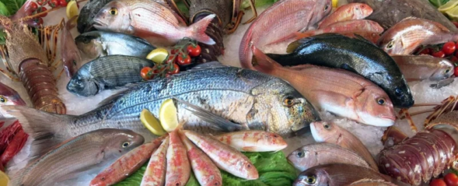 Basta bugie ma maggior chiarezza nel menu di pesce 5 Basta bugie ma maggior chiarezza nel menu di pesce