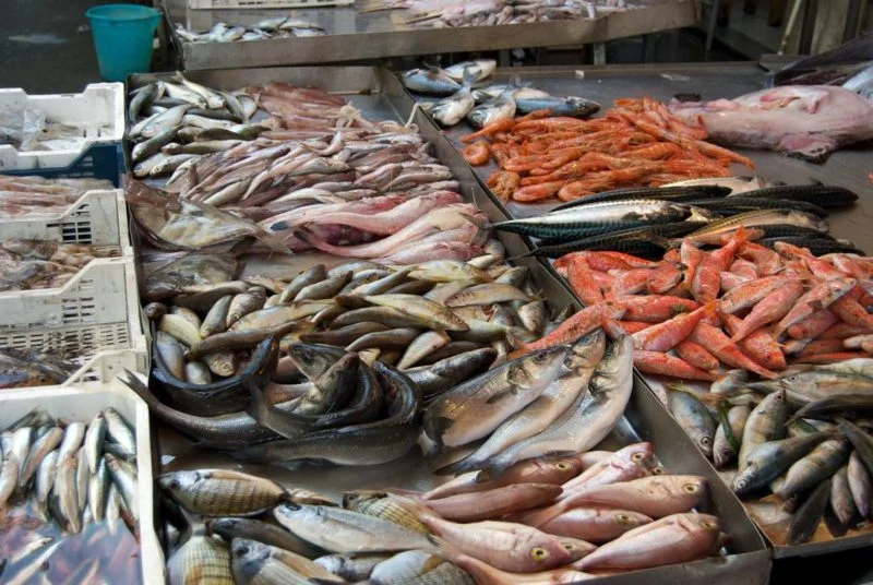 Basta bugie ma maggior chiarezza nel menu di pesce 2 Basta bugie ma maggior chiarezza nel menu di pesce 2