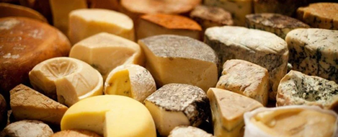Gli italiani in vacanza visitano malghe, frantoi e fattorie 3 Gli italiani in vacanza visitano malghe, frantoi e fattorie
