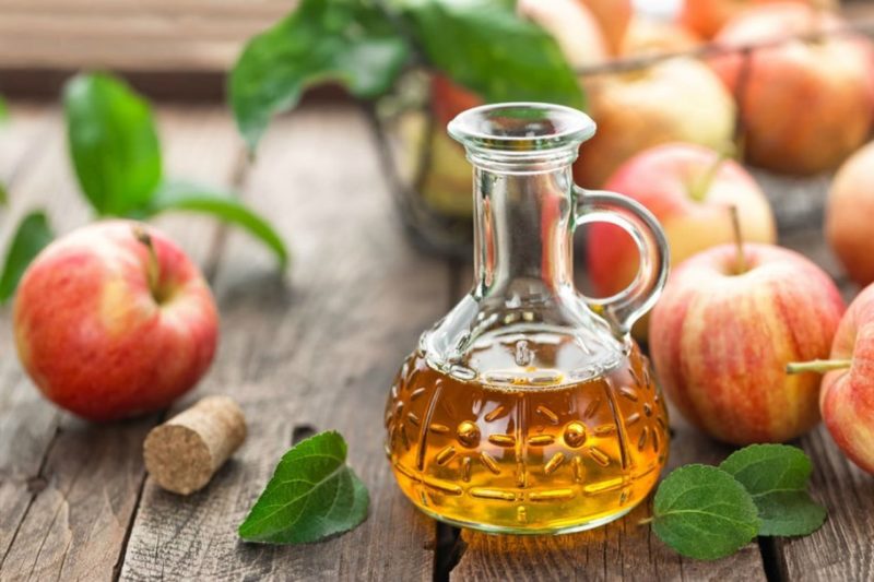 Olanda Nuovo Uso Scarti Alimentari