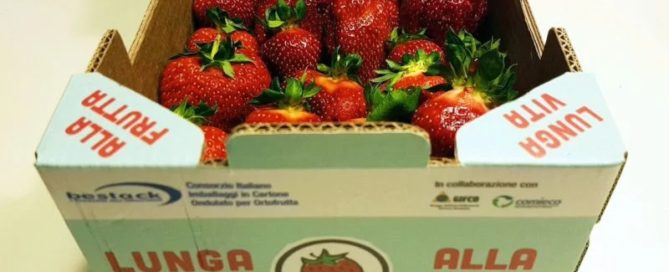Attivo Bestack riduce significativamente gli sprechi di cibo 5 Attivo Bestack riduce significativamente gli sprechi di cibo