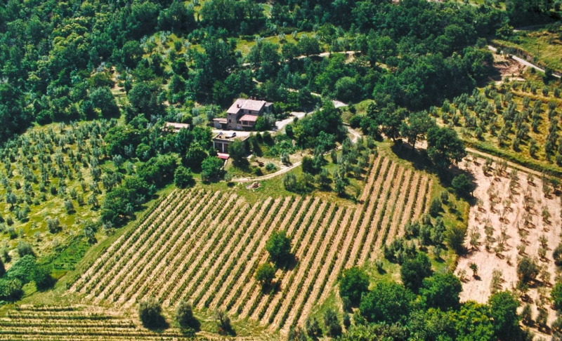 Sempre più giovani italiani si dedicano all’agricoltura 1