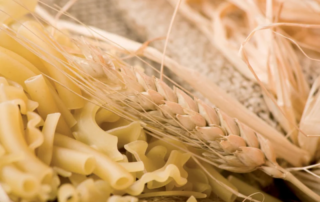 Seme non certificato e qualità della pasta a rischio 8 Seme Non Certificato Pasta