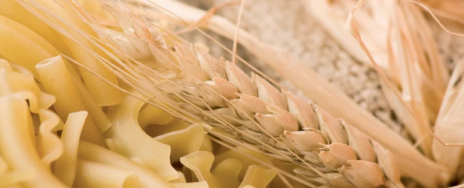 Seme non certificato e qualità della pasta a rischio 5 Seme Non Certificato Pasta