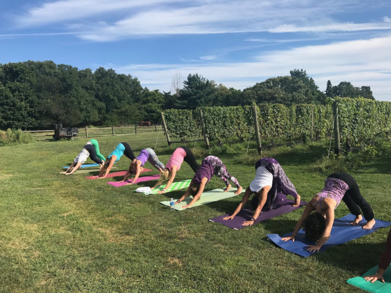 Con lo Yogawine, corpo e spirito all'assaggio del vino 3