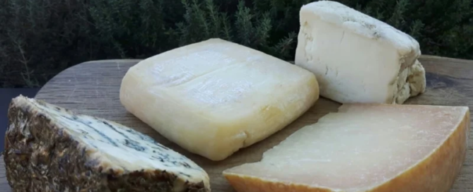 I formaggi artigianali dei piccoli produttori del Lazio 6 Degusto Formaggi Piccoli Produttori del Lazio