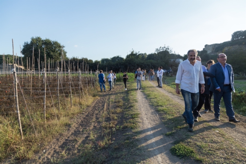 Associazione Pomodoro Cannellino Flegreo