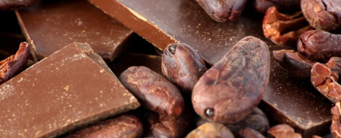 Scoperta una nuova fonte di vitamina D: il cacao 8 Scoperta una nuova fonte di vitamina D: il cacao
