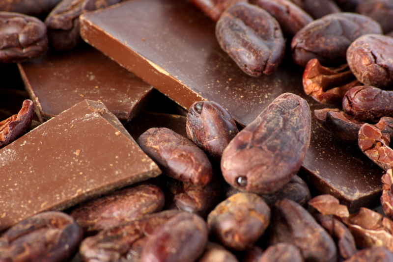Scoperta una nuova fonte di vitamina D: il cacao