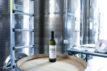 Cantina Urbana a Milano, dove fare vino in città 2 Cantina Urbana Vino
