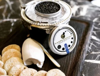 Caviar With Life offre caviale senza uccidere gli storioni 7 Kasperskian Caviale