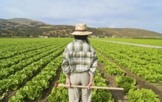 Italiani Figlio Agricoltore