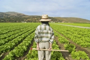 Otto italiani su dieci sarebbero contenti con un figlio agricoltore 4 Italiani Figlio Agricoltore