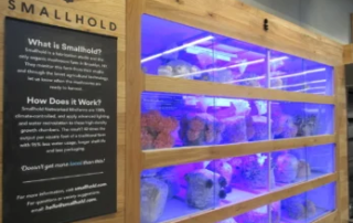 Le mini vertical farm sono l’ultimo trend nei ristoranti di New York 4 Mini Vertical Farm New York Ultimo Trend