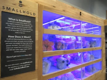 Le mini vertical farm sono l’ultimo trend nei ristoranti di New York 3 Mini Vertical Farm New York Ultimo Trend