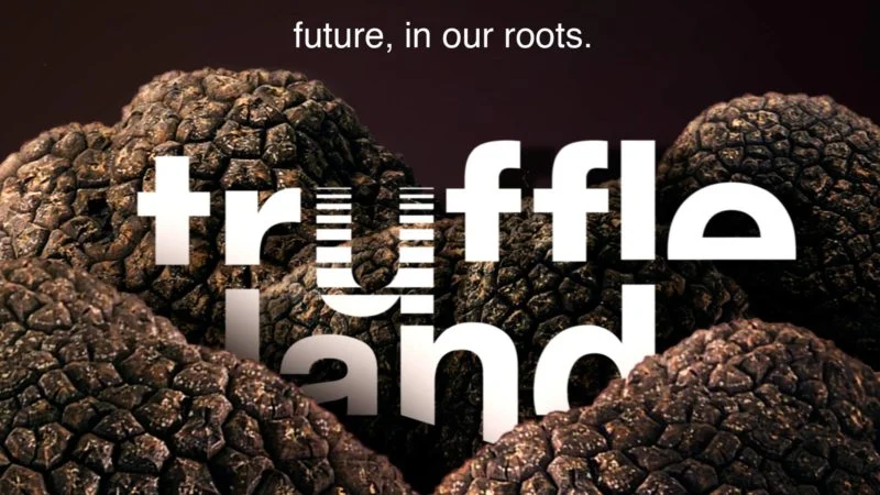 Il futuro della tartuficoltura è al sicuro con Truffleland 2 Il futuro della tartuficoltura è al sicuro con Truffleland