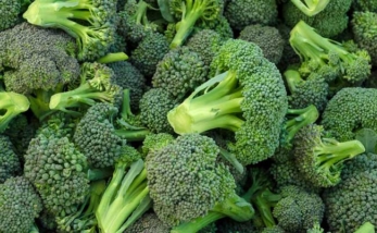 Calcio e tanta verdura per avere delle ossa resistenti 1 calcio vitamina ossa verdure