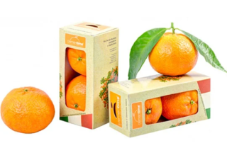 Junk-food? No grazie, meglio due clementine 1 Clementine clementime