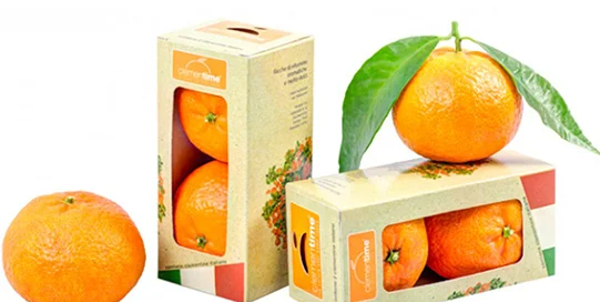 Junk-food? No grazie, meglio due clementine 9 Clementine clementime