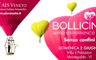 Bollicine Wine Experience 2019