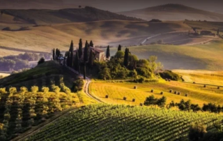 Su Wineowine trovi solo ottimo vino di qualità 1 Wineowine