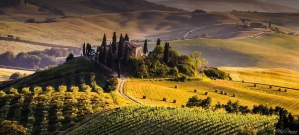 Su Wineowine trovi solo ottimo vino di qualità 5 Wineowine
