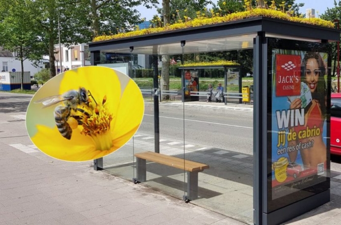 A Utrecht le api si muovono con gli autobus! 1 Utrecht api fermate autobus