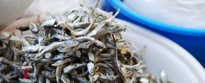 L'autunno porta in tavola pesci perfetti per una dieta equilibrata 7 L'autunno porta in tavola pesci perfetti per una dieta equilibrata