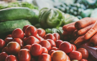 L’agricoltura italiana è la più verde d’Europa 10 agricoltura italiana