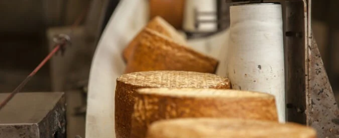 Formaggi Argiolas: formaggi che profumano di Sardegna 4 formaggi argiolas