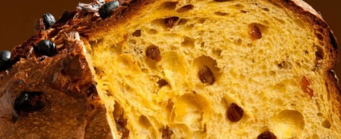 Il panettone: uvetta, canditi e tante storie differenti per un prodotto sempre amato 1 panettone