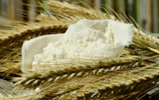 farina di grano