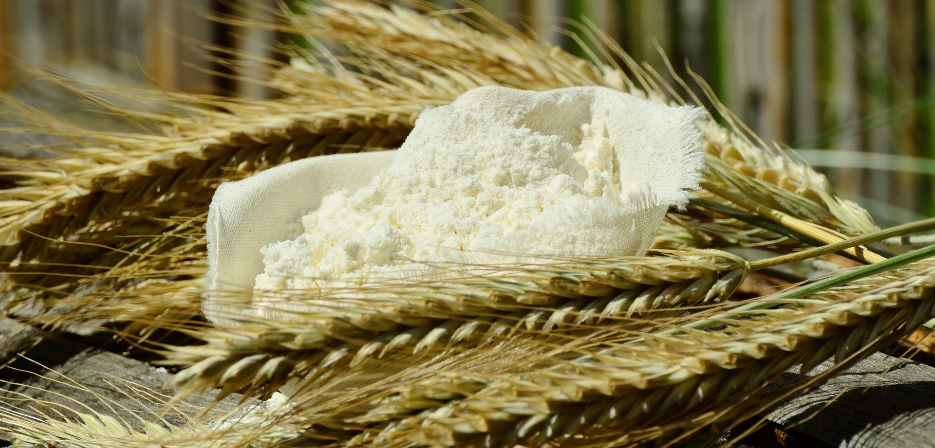 La Farina: come sceglierla in base a Tipo e Forza 1 La Farina: come sceglierla in base a Tipo e Forza 1