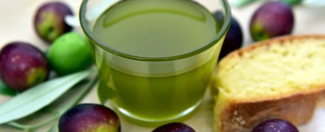 Con l’Olio di Puglia IGP, l’Italia raggiunge le 300 denominazioni UE 8 olio puglia IGP
