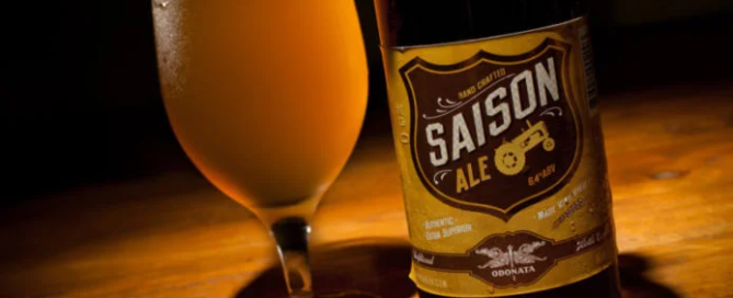 Le birre ad alta fermentazione - quinta parte 4 Le birre ad alta fermentazione - quinta parte