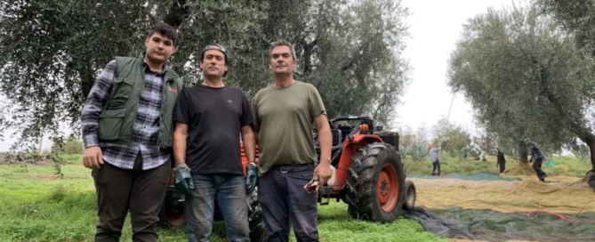 BuondiOli scrive la storia: primo olio bio al mondo tracciato con tecnologia blockchain 7 Azienda Agricola Buondioli