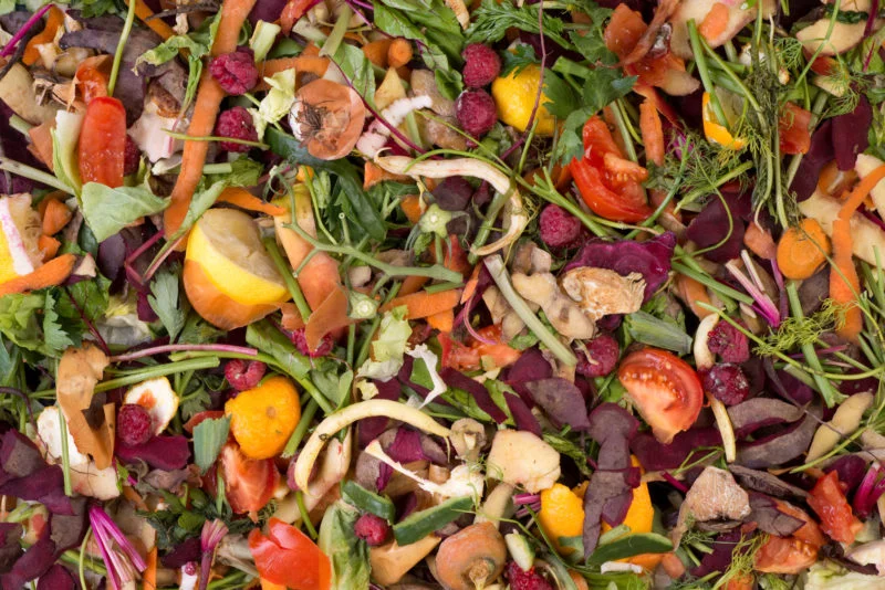 BitGood, la piattaforma digitale di Confesercenti contro lo spreco alimentare BitGood, la piattaforma digitale di Confesercenti contro lo spreco alimentare