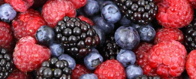 Presto si potrà raccogliere frutta gratuitamente a Copenaghen 5 Presto si potrà raccogliere frutta gratuitamente a Copenaghen