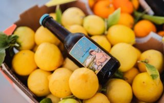 Birra del Gargano, una beerfirm itinerante ispirata ai colori ed ai profumi della Montagne del sole