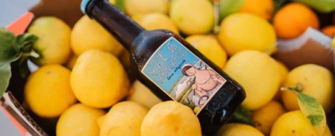 Birra del Gargano, una beerfirm itinerante ispirata ai colori ed ai profumi delle Montagne del sole 10 Birra del Gargano, una beerfirm itinerante ispirata ai colori ed ai profumi della Montagne del sole